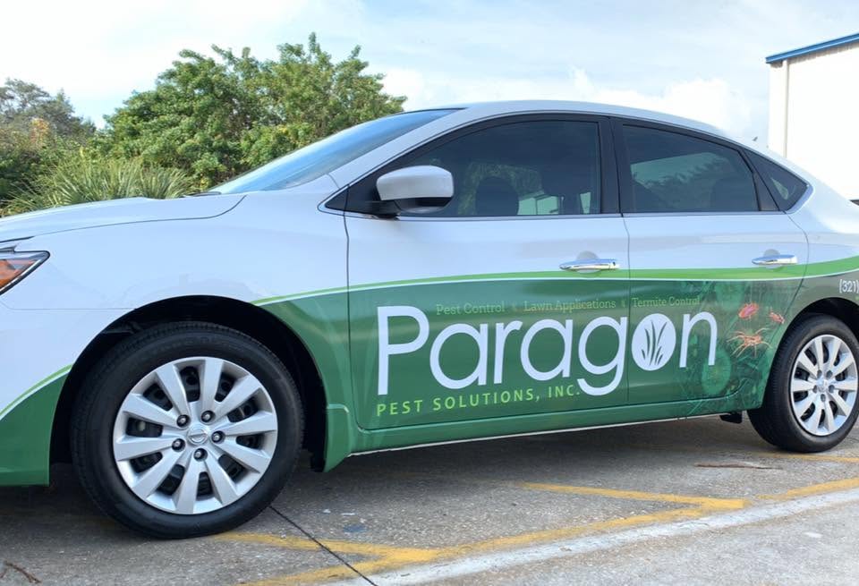 Paragon Pest Solutions vehicle graphics